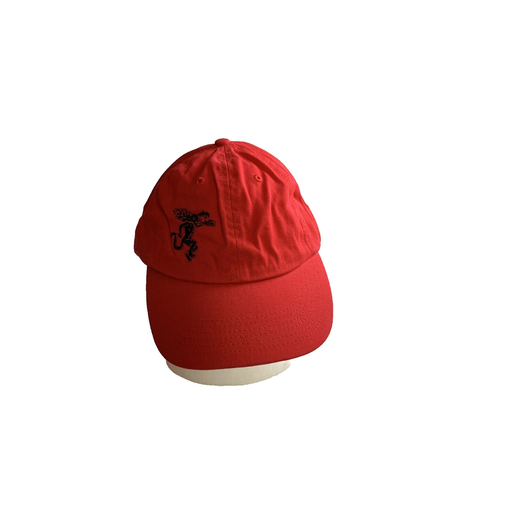 Fireball Cinnamon Whiskey Strapback Adjustable Hat Cap Baseball Red 100% Cotton